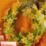 DSCF0024 DSCF0024